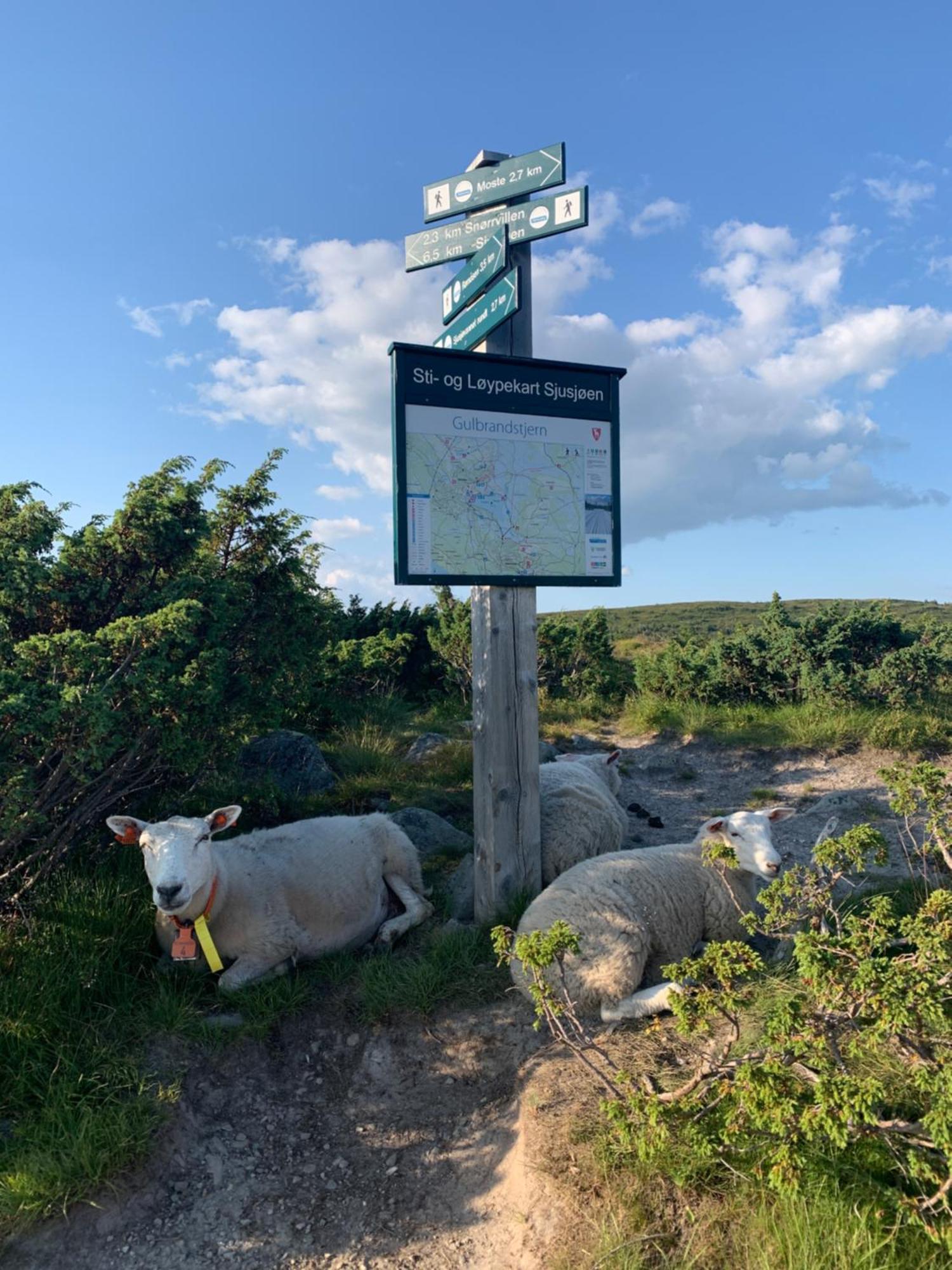 苏因海特山林小屋 Sjusjoen 外观 照片