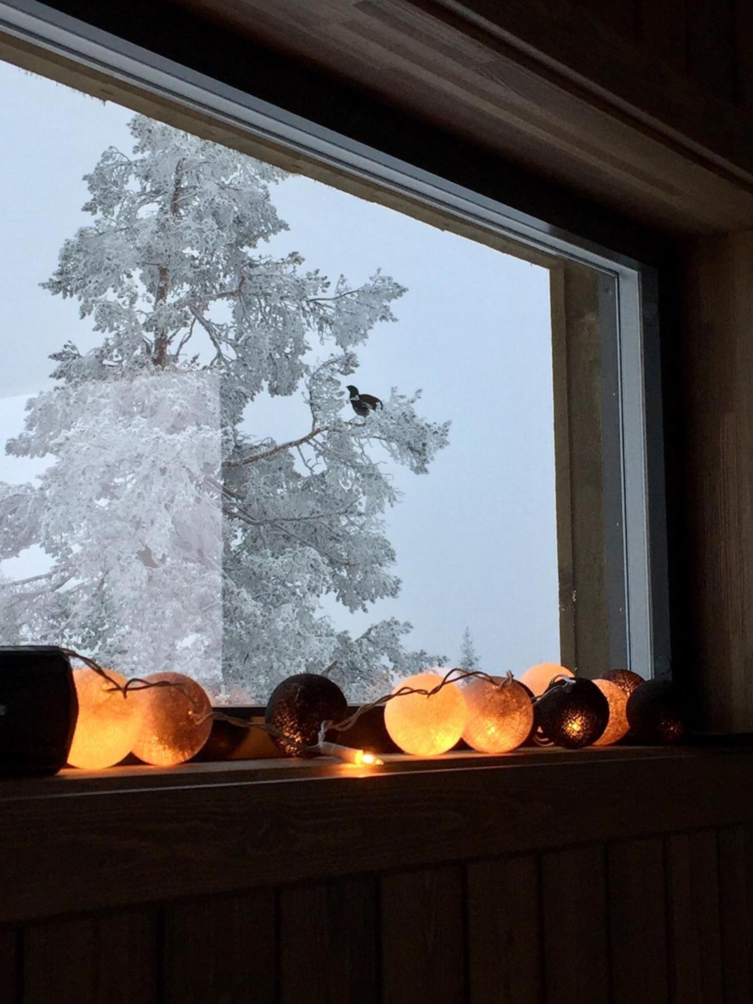 苏因海特山林小屋 Sjusjoen 外观 照片